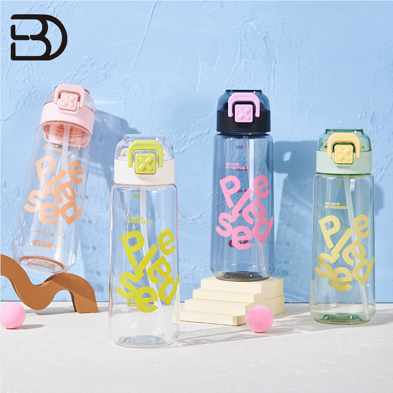 SBJS25 Frosted Glass Water Bottle